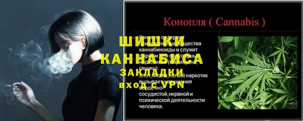 дурь Болотное