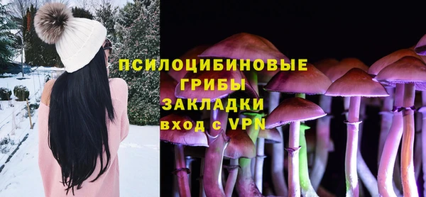 ешки Михайлов
